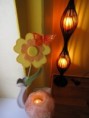 /album/fotogalerie-uvodem/img-0885-jpg2/